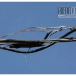 Habitantes de Ceibas de Urúetaro, localidad del municipio de Huetamo, denuncian más de ocho días sin energía eléctrica