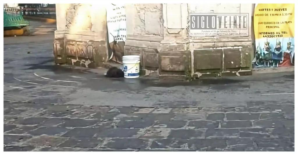 Hallan cabeza humana en el jardín principal de Tarímbaro; Fiscalía indaga posible feminicidio