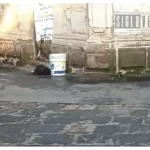 Hallan cabeza humana en el jardín principal de Tarímbaro; Fiscalía indaga posible feminicidio