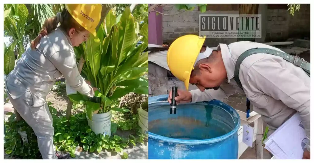 Limpieza en los hogares, principal medida para reducir riesgos de dengue durante temporada de lluvias