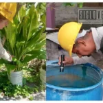 Limpieza en los hogares, principal medida para reducir riesgos de dengue durante temporada de lluvias