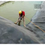 Rescatan a dos perros atrapados en una olla agrícola en Tacámbaro