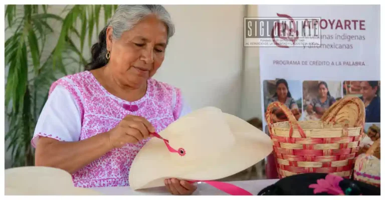 Artesanas de los municipios de Huetamo, Nocupétaro, Churumuco, San Lucas y Tiquicheo podrán acceder a créditos de hasta 30 mil pesos