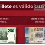 Banco de México aclara cuándo un billete maltratado sigue siendo válido y debe ser aceptado