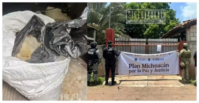 Cateo en Carácuaro deja aseguramiento de presunta metanfetamina y vehículos