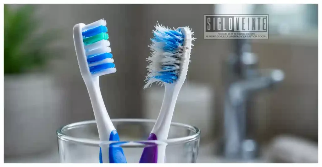 ¿Cuándo es momento de cambiar el cepillo de dientes? Esta es la recomendación para cuidar tu salud bucal