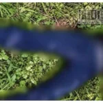 Hallan cuerpo envuelto en una cobija en una brecha de Apatzingán; presentaba impactos de bala