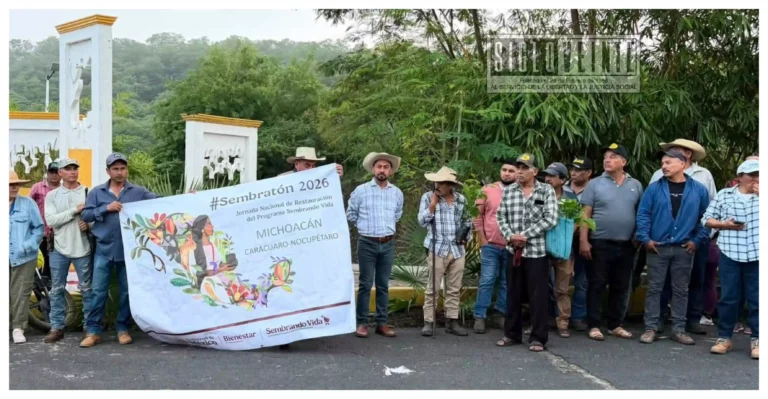 Hever Tentory encabeza en Carácuaro jornada de reforestación y refrenda su compromiso con el medio ambiente