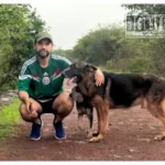 Institutos de Protección Animal, la propuesta que impulsa Octavio Ocampo para los municipios de Michoacán