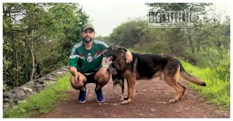 Institutos de Protección Animal, la propuesta que impulsa Octavio Ocampo para los municipios de Michoacán