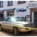 Abejas atacan a adulto mayor y muere durante traslado en Tacámbaro