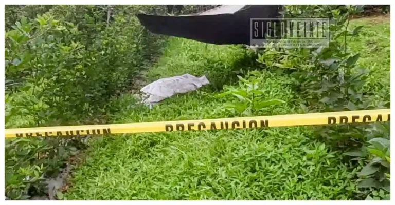 Hombre es localizado sin vida dentro de huerta de zarzamora en Tacámbaro