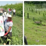 Huetamo alcanza meta de 200 mil árboles plantados durante Jornada Nacional de Reforestación