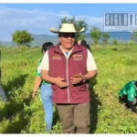 Ruta Huetamo dona 240 plantas forestales al ITSH para impulsar la reforestación