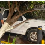 Tormenta de ayer domingo deja daños en distintos puntos de Huetamo; Protección Civil Municipal continúa atendiendo a la población