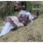 Abandonan cuerpo envuelto en cobijas sobre camino a Acahuato, en Apatzingán