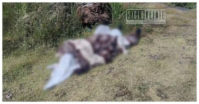 Abandonan cuerpo envuelto en cobijas sobre camino a Acahuato, en Apatzingán