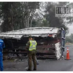 Camión cargado de limones vuelca en la carretera Morelia-Pátzcuaro; producto queda esparcido