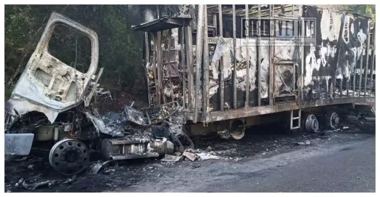 Camión queda calcinado en la carretera Huetamo–Tiquicheo; conductor resulta ileso