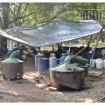 Desmantelan dos centros clandestinos para producir metanfetamina en los municipios de Huetamo y Tiquicheo