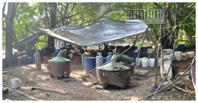 Desmantelan dos centros clandestinos para producir metanfetamina en los municipios de Huetamo y Tiquicheo