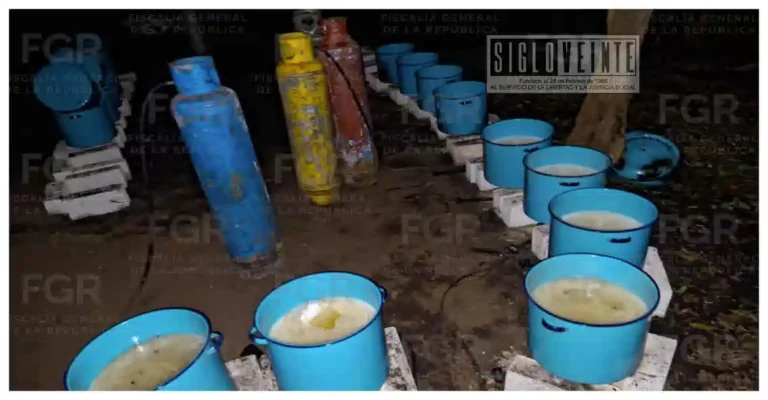 Desmantelan laboratorio clandestino para fabricar drogas sintéticas en comunidad de Zitácuaro