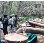 Desmantelan un laboratorio clandestino en el municipio de Carácuaro y tres más en los municipios de Zirándaro y Coahuayutla