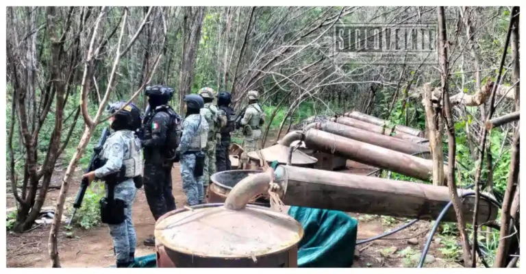 Desmantelan un laboratorio clandestino en el municipio de Carácuaro y tres más en los municipios de Zirándaro y Coahuayutla