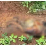 Hallan restos humanos y un cuerpo en descomposición en brecha rural de Tacámbaro