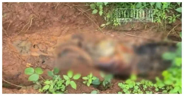 Hallan restos humanos y un cuerpo en descomposición en brecha rural de Tacámbaro