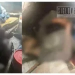 Irrumpen en vivienda y asesinan a dos hombres en el interior de un domicilio en Uruapan
