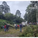 Pino se desploma sobre camioneta en la Tacámbaro-Pátzcuaro; hay cuatro lesionados