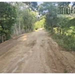 Ricardo Santibáñez atiende petición y apoya rehabilitación de vialidades en Quenchendio previo a fiestas patronales