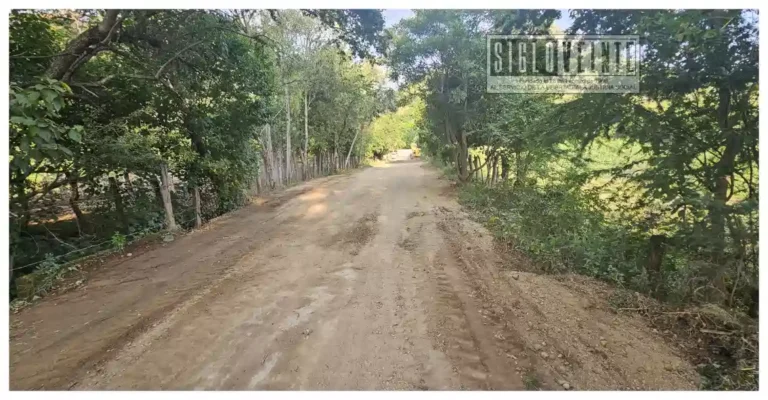 Ricardo Santibáñez atiende petición y apoya rehabilitación de vialidades en Quenchendio previo a fiestas patronales