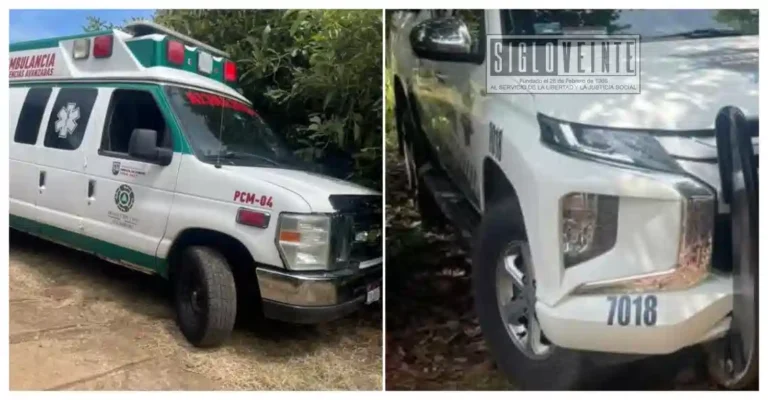 Trabajador muere electrocutado mientras cortaba aguacate en Tacámbaro
