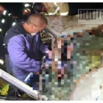 Tres personas mueren en fuerte choque entre camioneta y tráiler la carretera Tuzantla-Tiquicheo