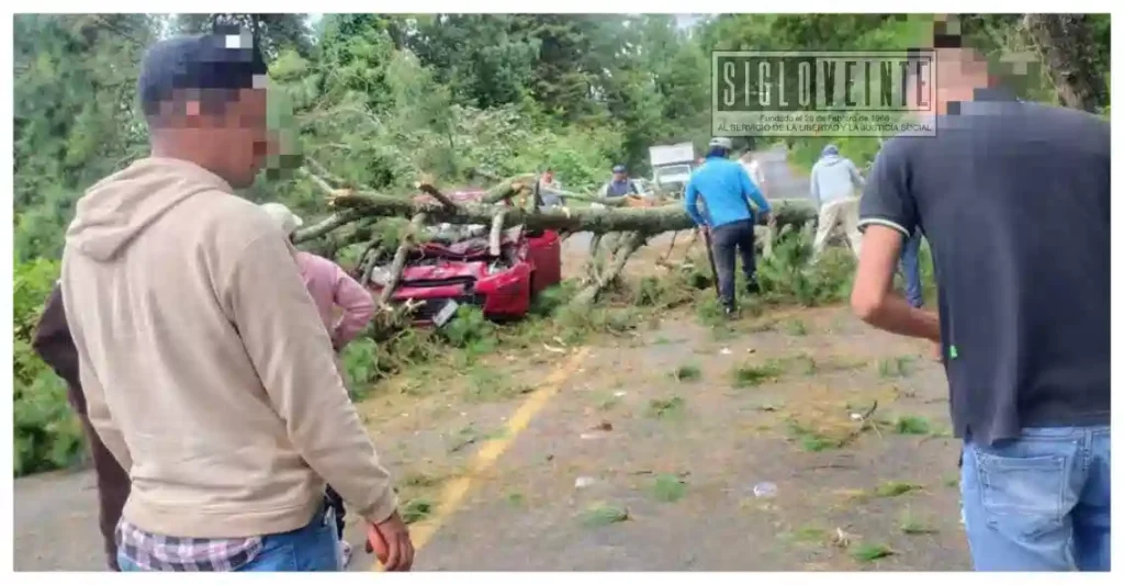 Árbol de gran tamaño aplasta automóvil en la carretera libre Uruapan-Pátzcuaro; conductor sobrevive con lesiones leves