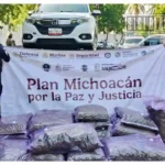 Aseguran 250 kilos de mariguana ocultos en camioneta sobre la Siglo XXI