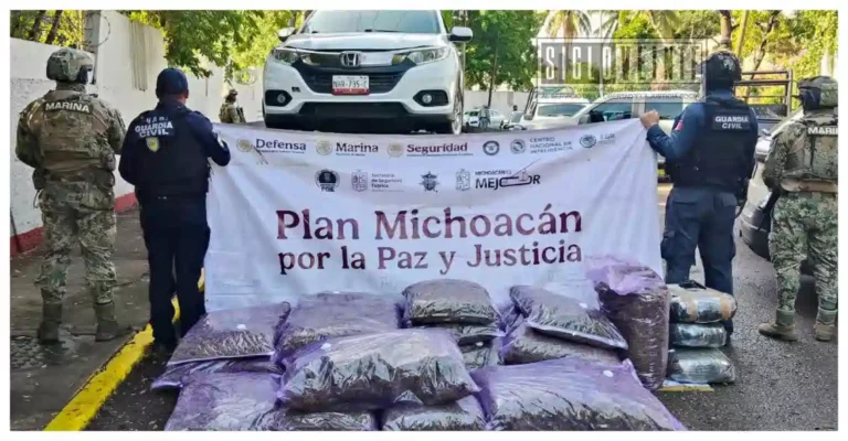 Aseguran 250 kilos de mariguana ocultos en camioneta sobre la Siglo XXI