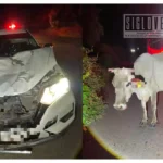 Camioneta choca contra una vaca en la carretera Huetamo-San Lucas; ocupantes abandonaron la unidad