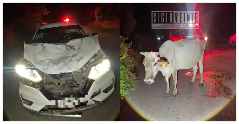 Camioneta choca contra una vaca en la carretera Huetamo-San Lucas; ocupantes abandonaron la unidad