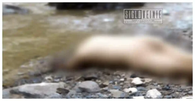 Estudiante de 19 años pierde la vida ahogado en el Río Toscano de Arteaga