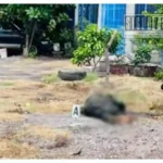 Localizan en Apatzingán a un hombre sin vida junto a un arma larga