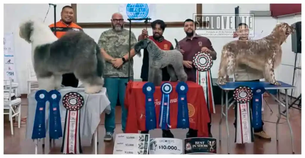 Mexicanos se adueñan del podio en certamen internacional de estética canina en Morelia